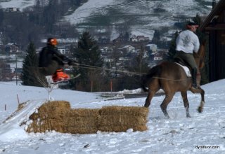 Horse Ski Jump