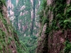 Mount Huang