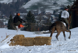 Horse Ski Jump